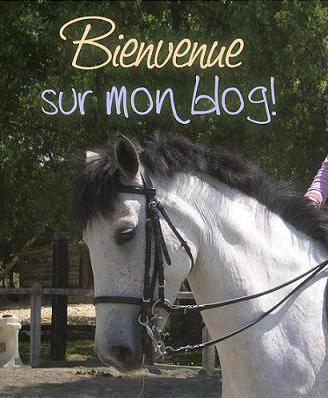 mon cheval te di bienvenu..........