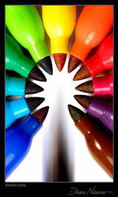 les couleurs