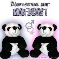 bienvenue sur mon blog